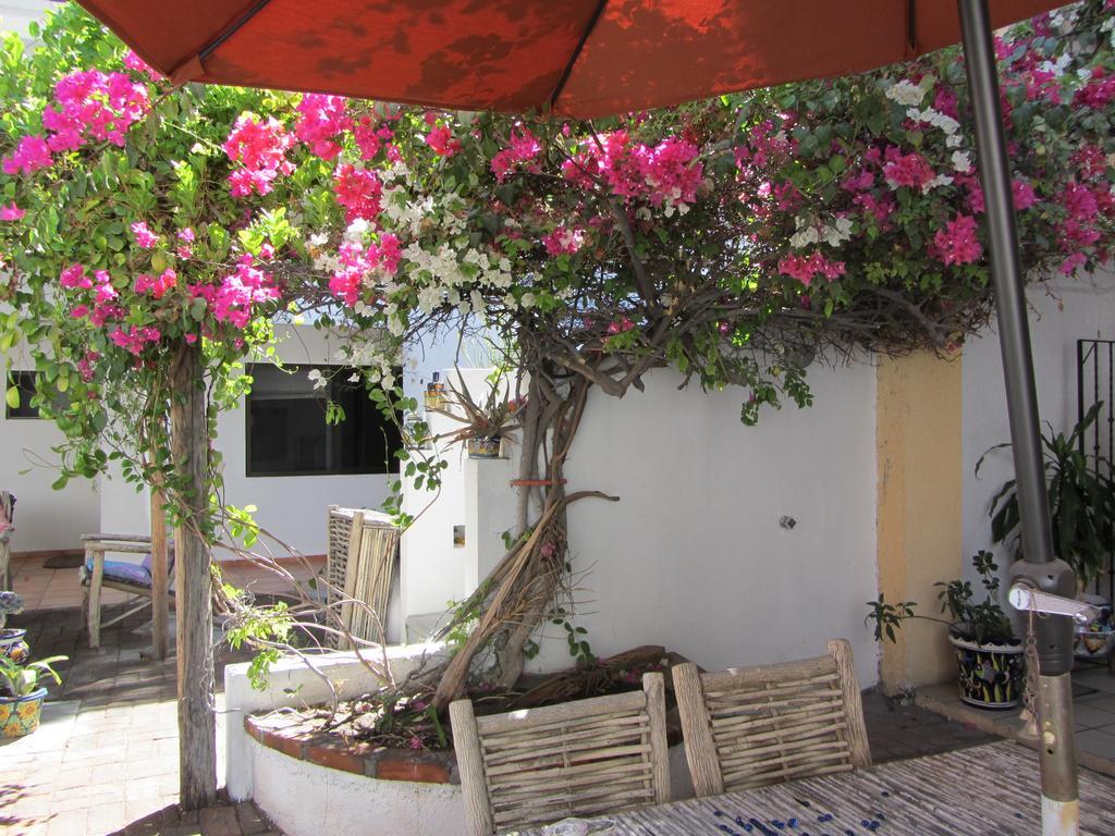 Baja Bed And Breakfast La Paz Ngoại thất bức ảnh